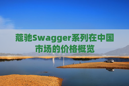 蔻驰Swagger系列在中国市场的价格概览